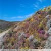 Motorcycle Road breede-river-to-sutherland- photo